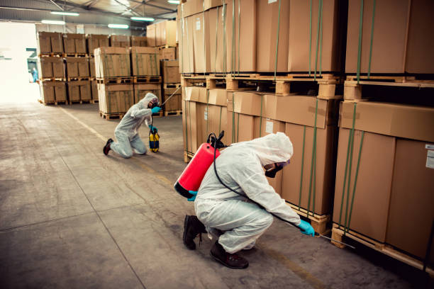 Wasp Removal Services in Coopersburg, PA
