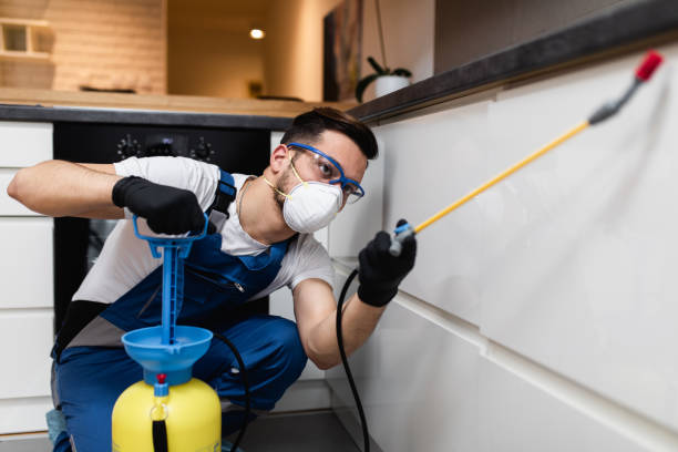 Best Pest Removal Services  in Coopersburg, PA