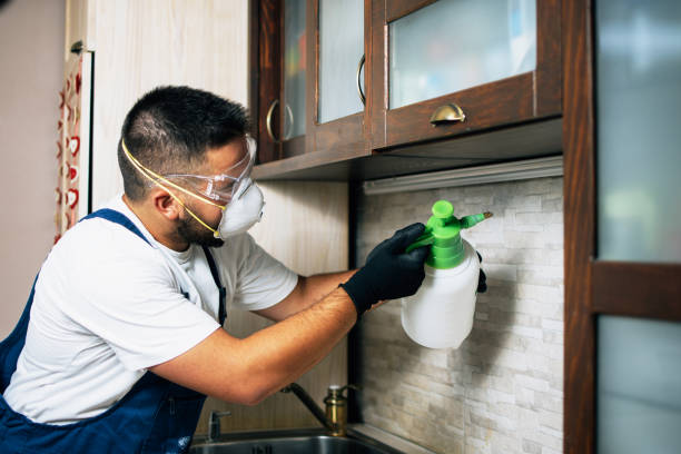 Best Termite Control Services  in Coopersburg, PA