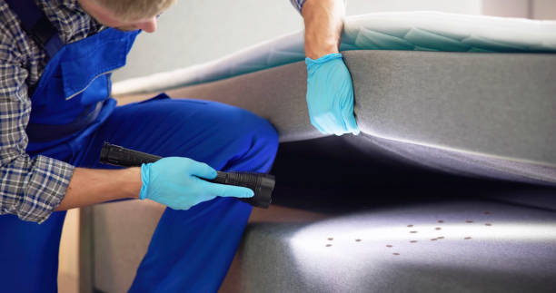 Best Best Pest Control Companies  in Coopersburg, PA