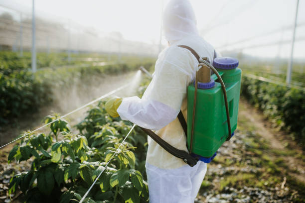  Coopersburg, PA Pest Control Pros